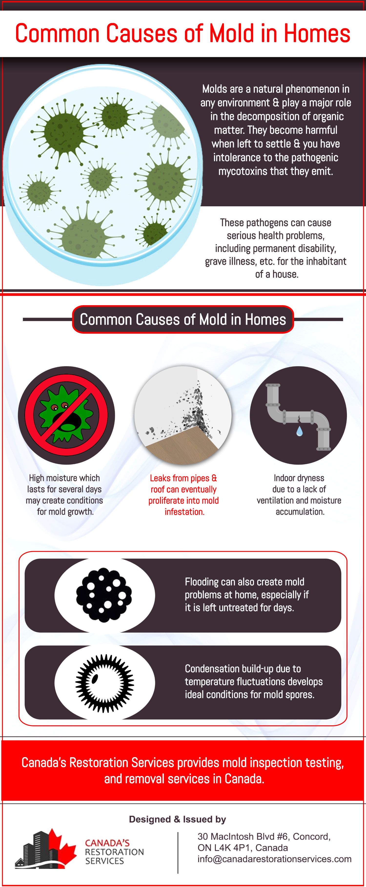 Common Causes of Mold in Homes by Canada’s Restoration Services